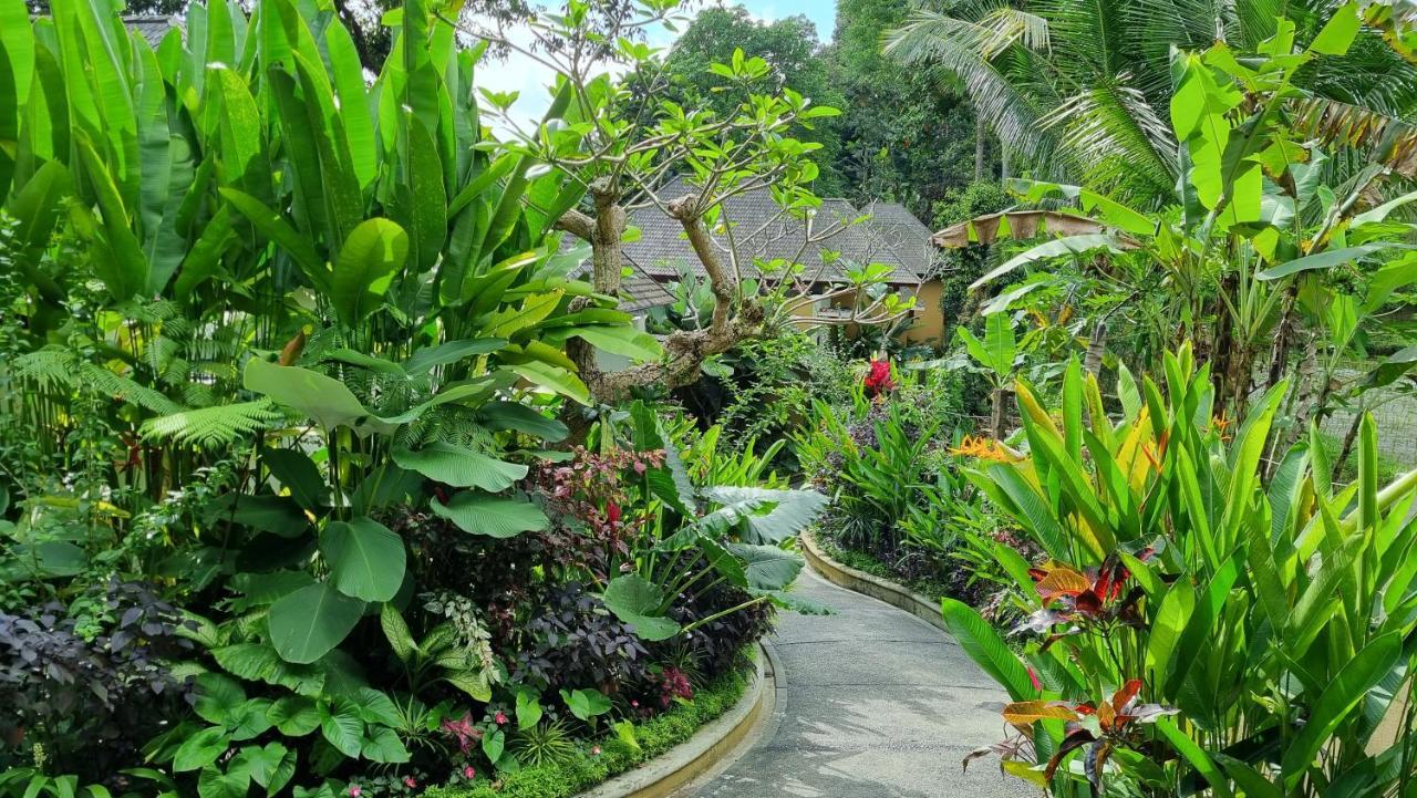 The Sebali Resort Ubud Exterior foto A path in the park